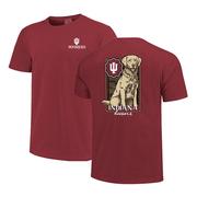 Indiana Retriever Wooden Frame Comfort Colors Tee